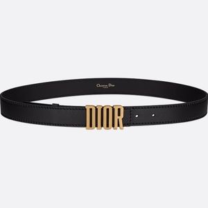 DIOR D-FENCE BELT